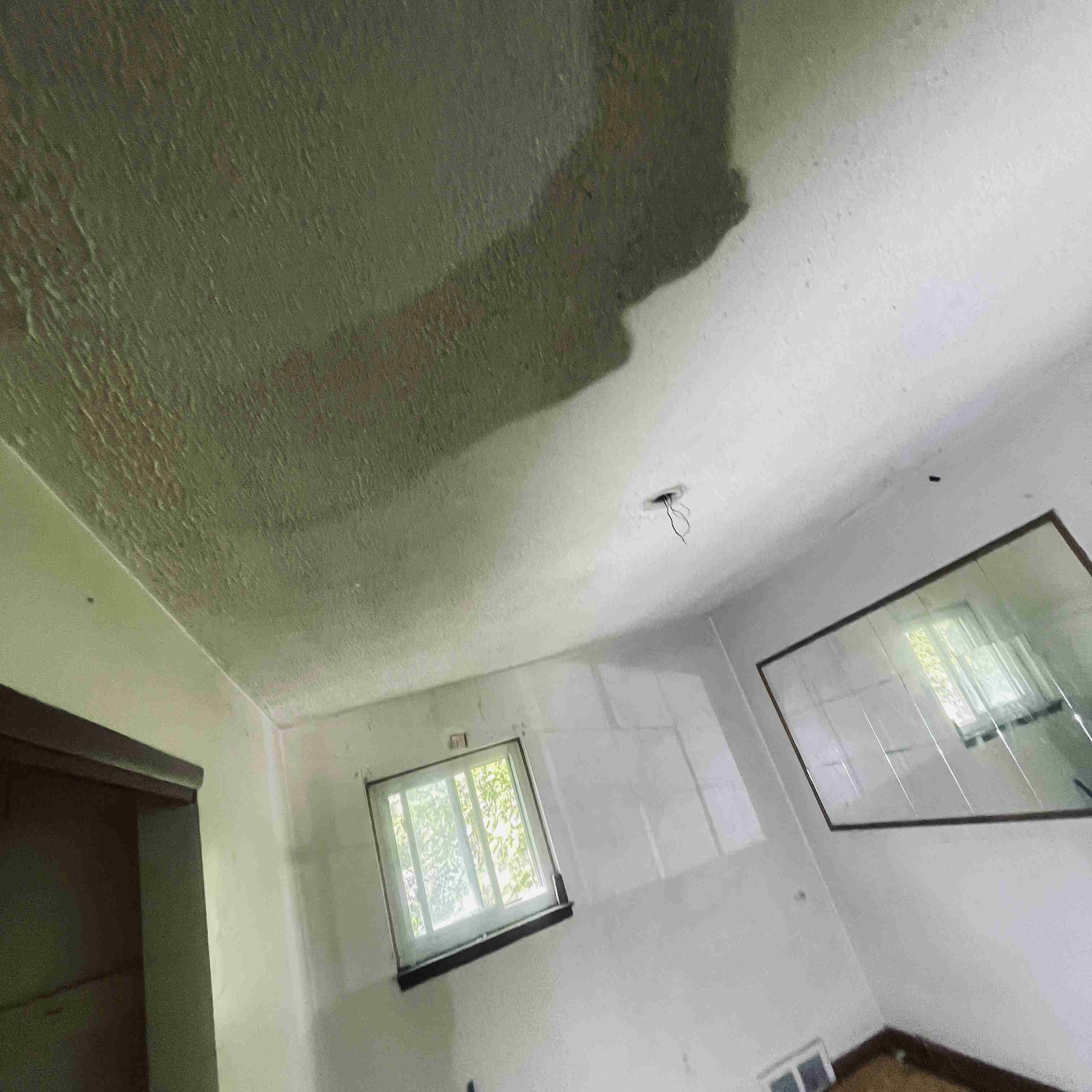 14241 Coyle (31).jpg